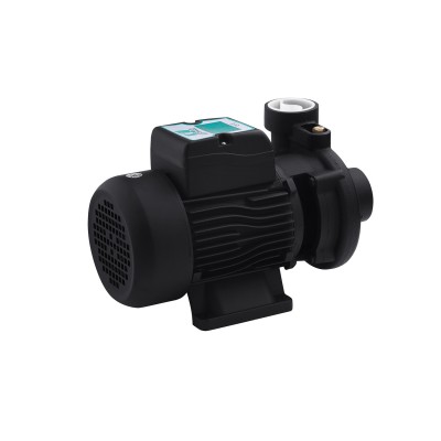 Насос поверхностный поливочный Pumpman 2DK20 Нmax 17 м Qmax 27 куб.м 2"х2" 1500 Вт Насос поверхностный поливочный Pumpman 2DK20 Нmax 17 м Qmax 27 куб.м 2"х2" 1500 Вт