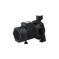 Насос поверхностный поливочный Pumpman TGA1A Нmax 18 м Qmax 16 куб.м 1 1/2"х1 1/2" 750 Вт
