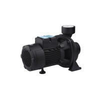 Насос поверхностный поливочный Pumpman TGA1C Нmax 15 м Qmax 30 куб.м 2"х2" 750 Вт