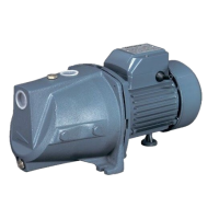 Поверхневий насос JSWm-10 М/1,0 кВт (0293NP45)