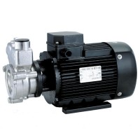 Поверхностный насос 25-QYB-2SS  (5200VA59)